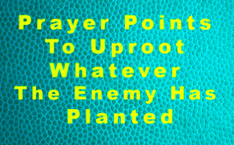 Powerful Prayer for Whatever God has not Planted in Your Life to be Uprooted and Destroyed.