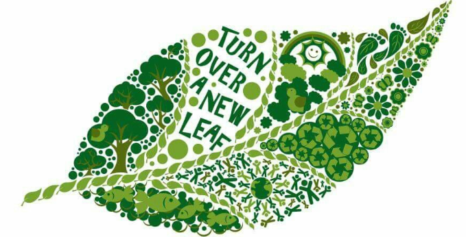  Turning a New Leaf: A Prayer and Article for the Grace to Genuinely Change